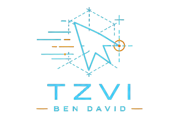 TZVI BEN DAVID - תוכנה לעסקים